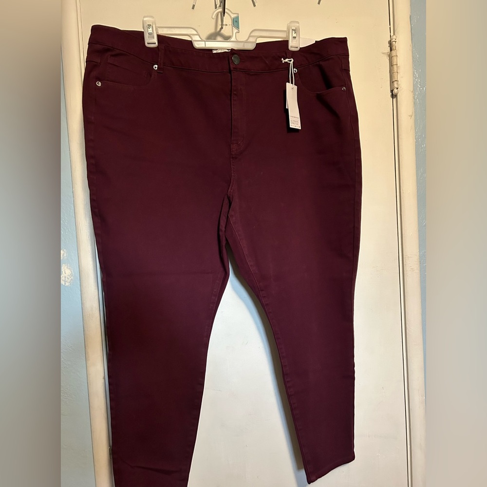 Lane Bryant Jeans for Plus size women